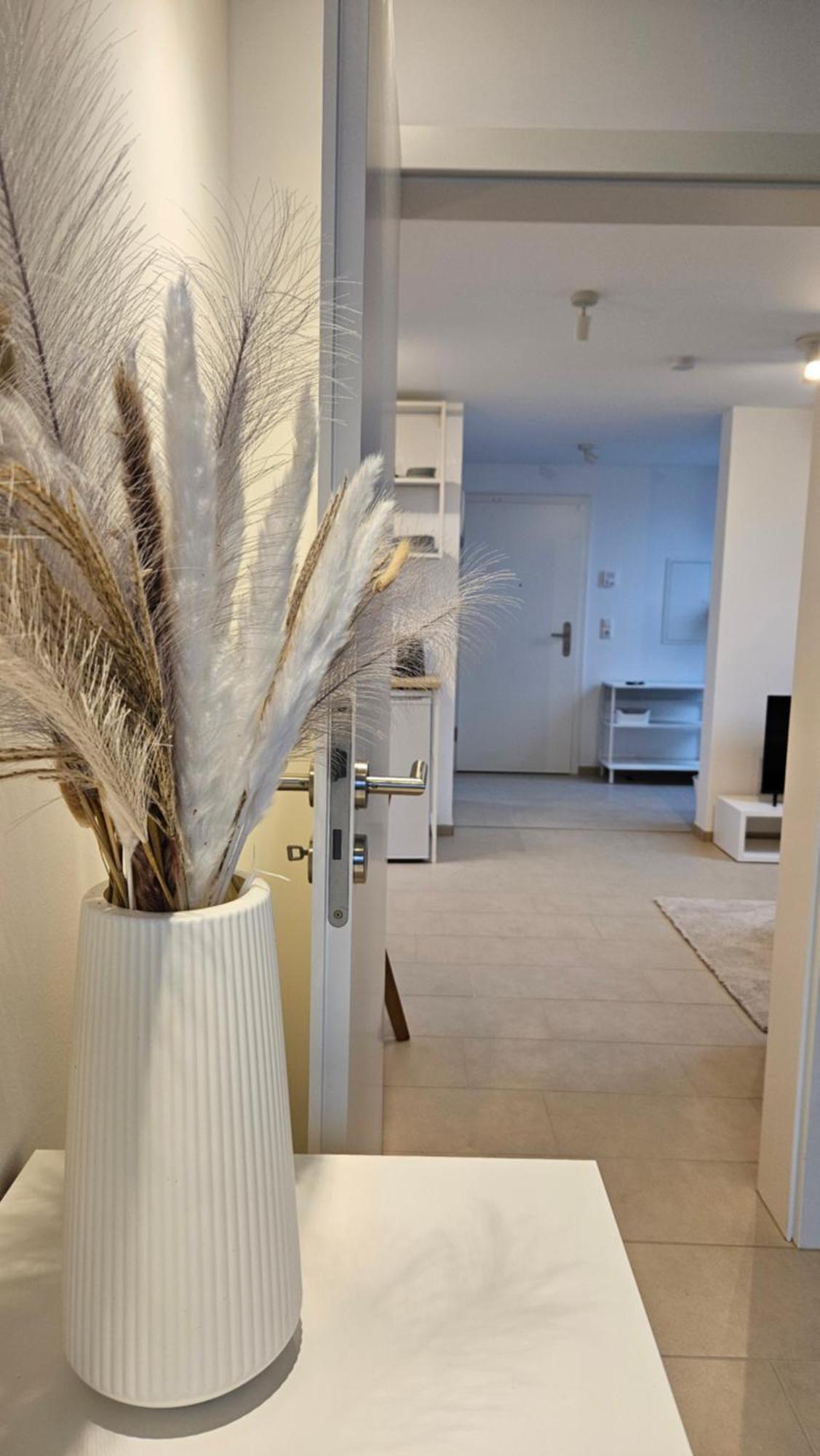 Ferienwohnung As5 Two Bamberg - Zentrale Lage Mit Parkplatz ฮัลชตัดท์ ภายนอก รูปภาพ